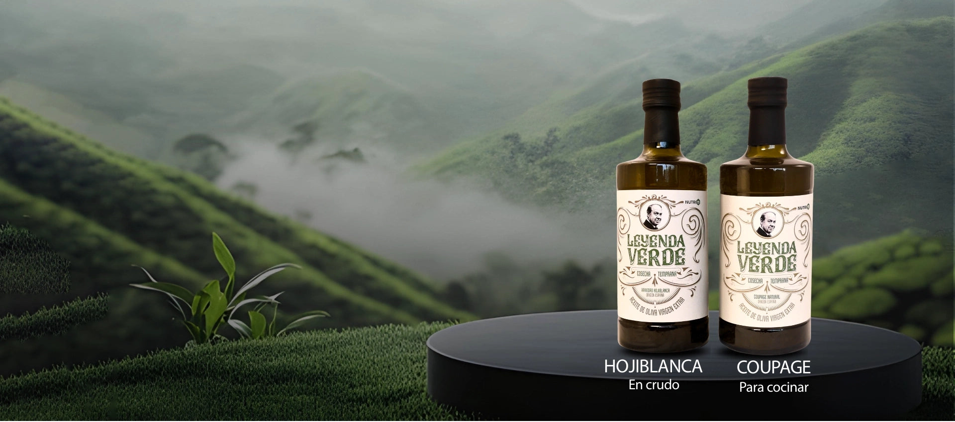 slider image 1621243260e1af0c20-0